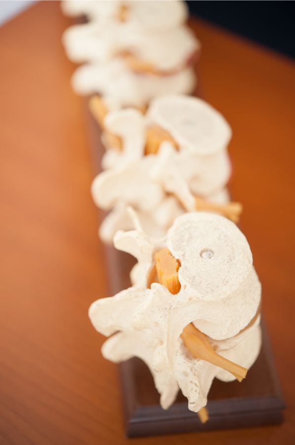 Chiropraktik Daniel Lebel - Behandlung der Wirbelsäule und des Rückens